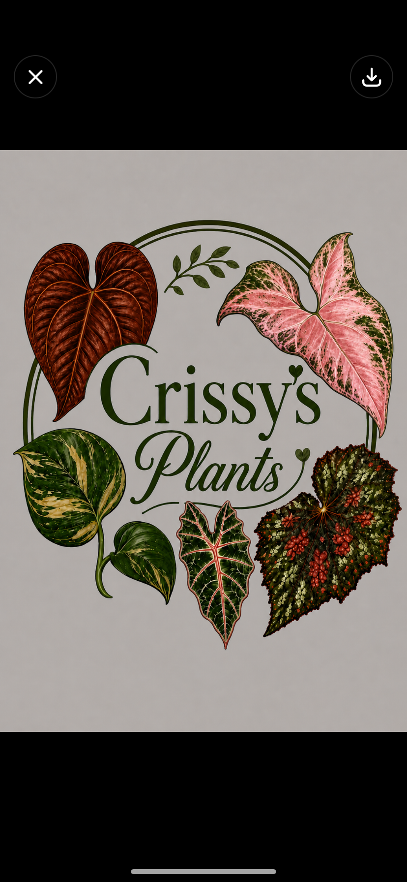 Crissy's Plants